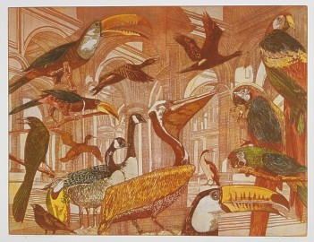 Bekend is kunstenares Annemarie Petri door haar meerkleurenetsen, die zeldzaam vrfijnd zijn in hun ambachtelijk vakmanschap. Annemarie Petri vindt in de natuurwetenschappen belangrijke inspiratie voor haar kunst.